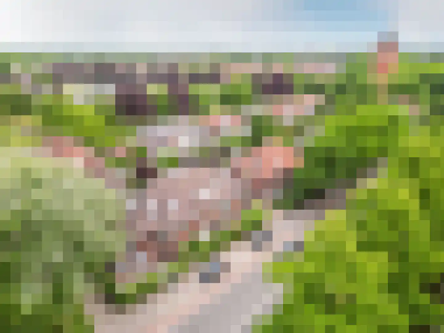 Wilhelminasingel 32 Breda thumbnail 48