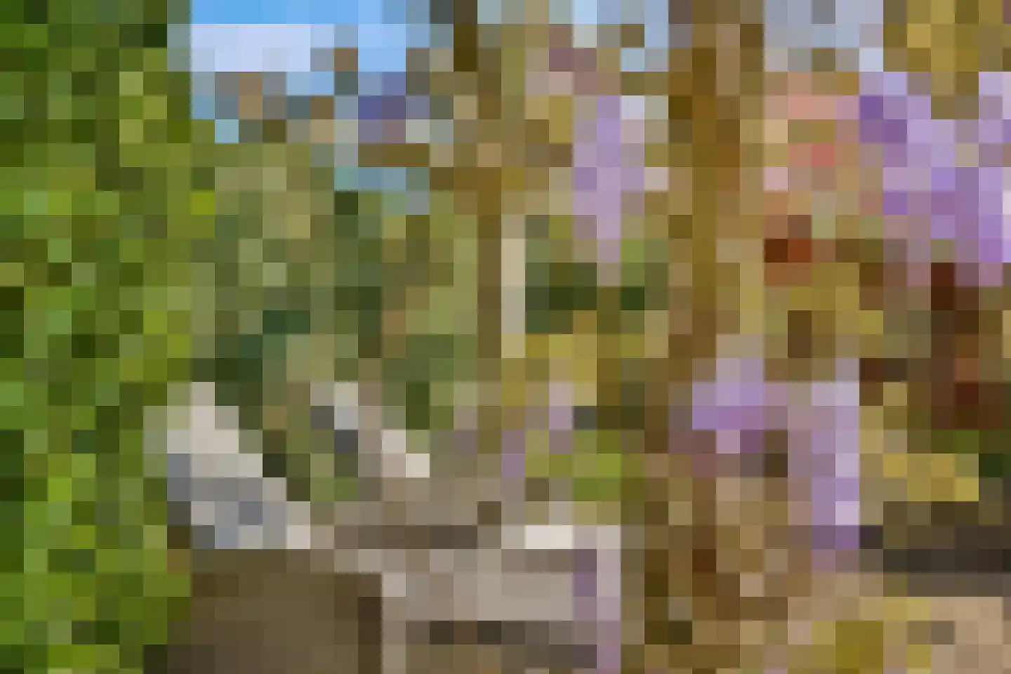 Wilhelminasingel 35 Vlaardingen thumbnail 16