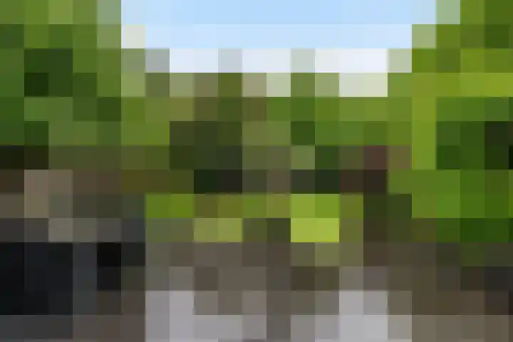 Wilhelminasingel 46 Vlaardingen thumbnail 19