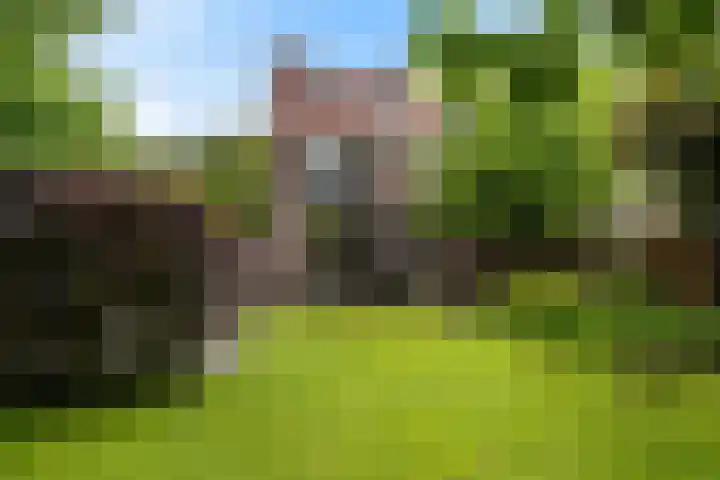 Wilhelminasingel 46 Vlaardingen thumbnail 20