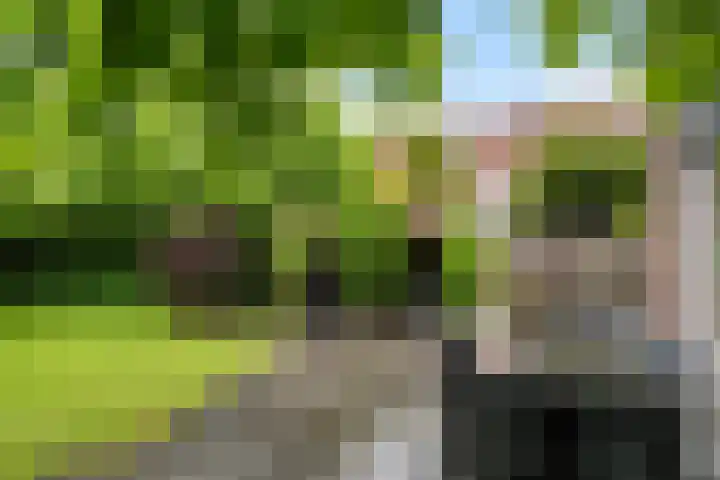 Wilhelminasingel 46 Vlaardingen thumbnail 21