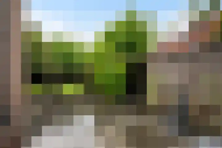 Wilhelminasingel 46 Vlaardingen thumbnail 24