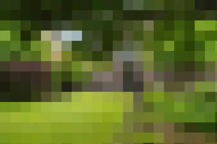 Wilhelminasingel 46 Vlaardingen thumbnail 25