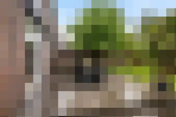Wilhelminasingel 46 Vlaardingen thumbnail 26