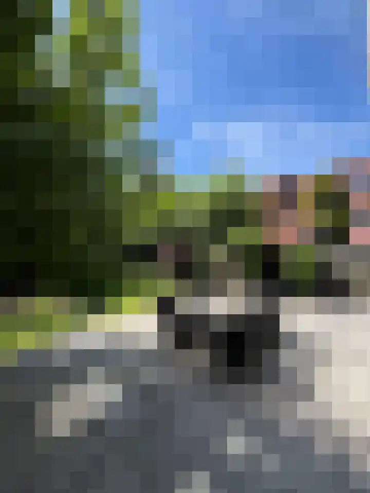 Wilhelminasingel 46 Vlaardingen thumbnail 28