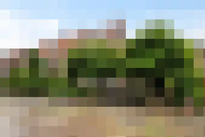 Wilhelminasingel 46 Vlaardingen thumbnail 53