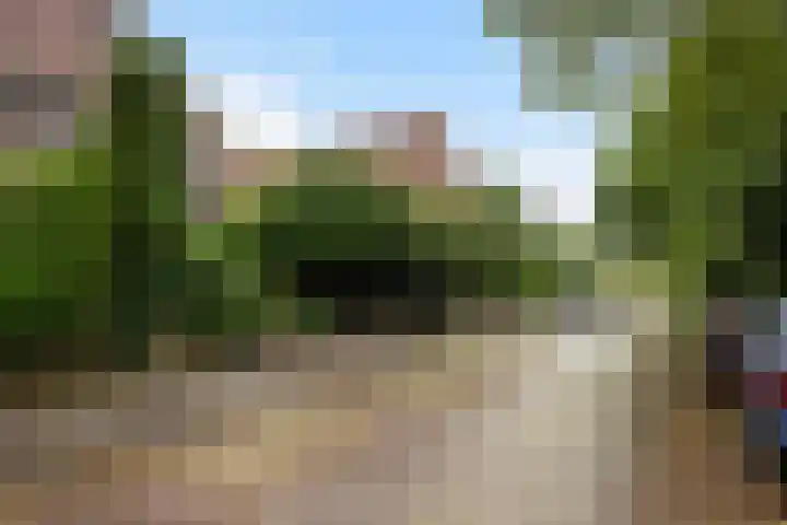 Wilhelminasingel 46 Vlaardingen thumbnail 54