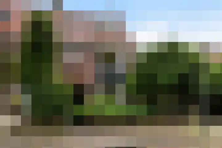 Wilhelminasingel 46 Vlaardingen thumbnail 60