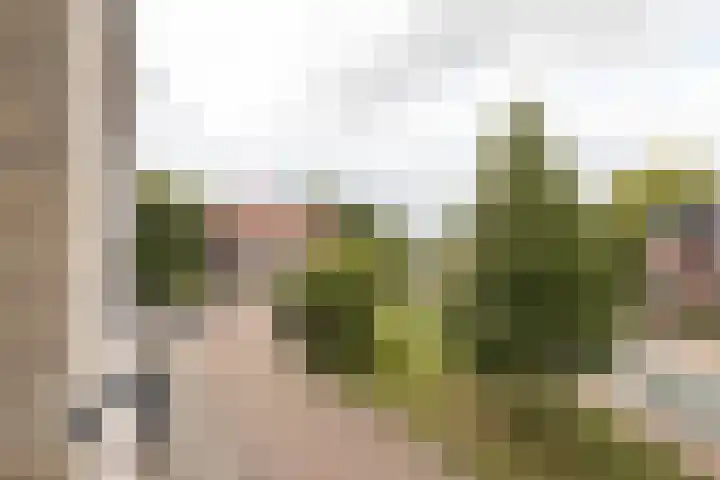 Wilhelminasingel 47 Winschoten thumbnail 13