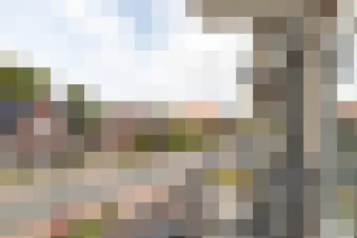 Wilhelminasingel 47 Winschoten thumbnail 14