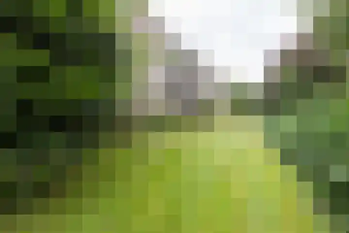 Wilhelminasingel 47 Winschoten thumbnail 29