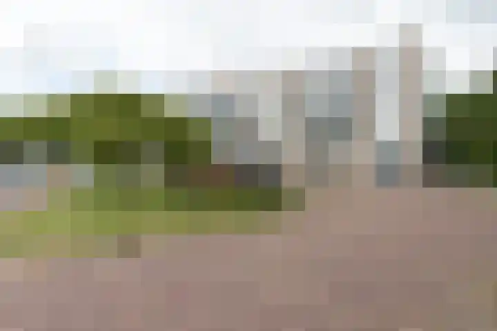 Wilhelminasingel 47 Winschoten thumbnail 32