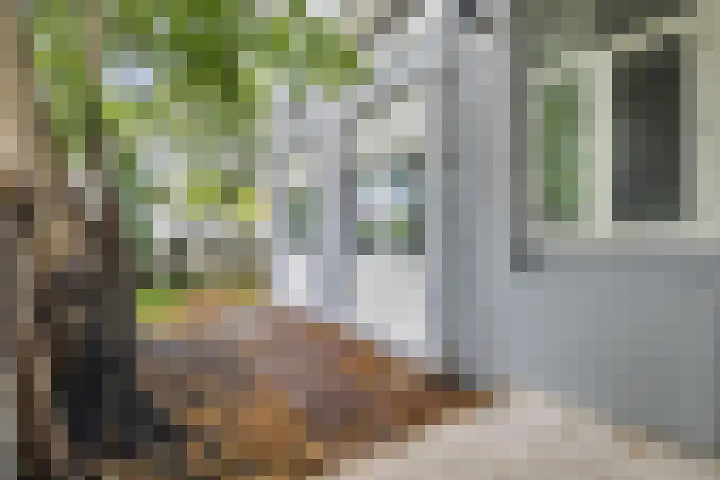 Wilhelminasingel 49 Breda thumbnail 41