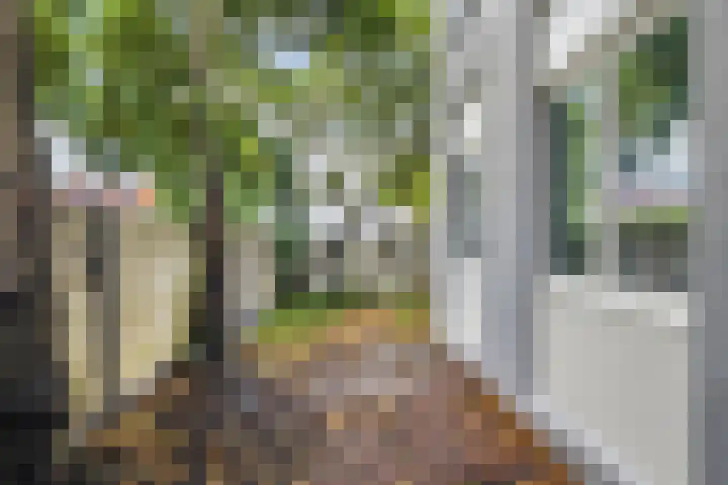 Wilhelminasingel 49 Breda thumbnail 42
