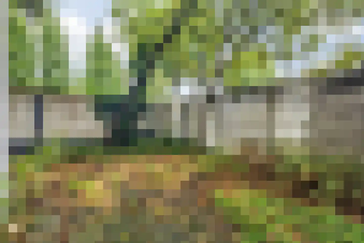 Wilhelminasingel 49 Breda thumbnail 45