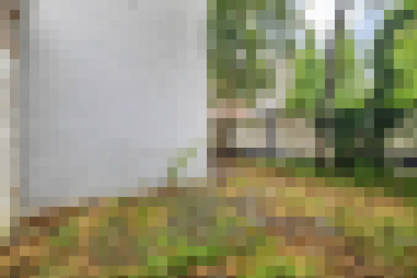 Wilhelminasingel 49 Breda thumbnail 46