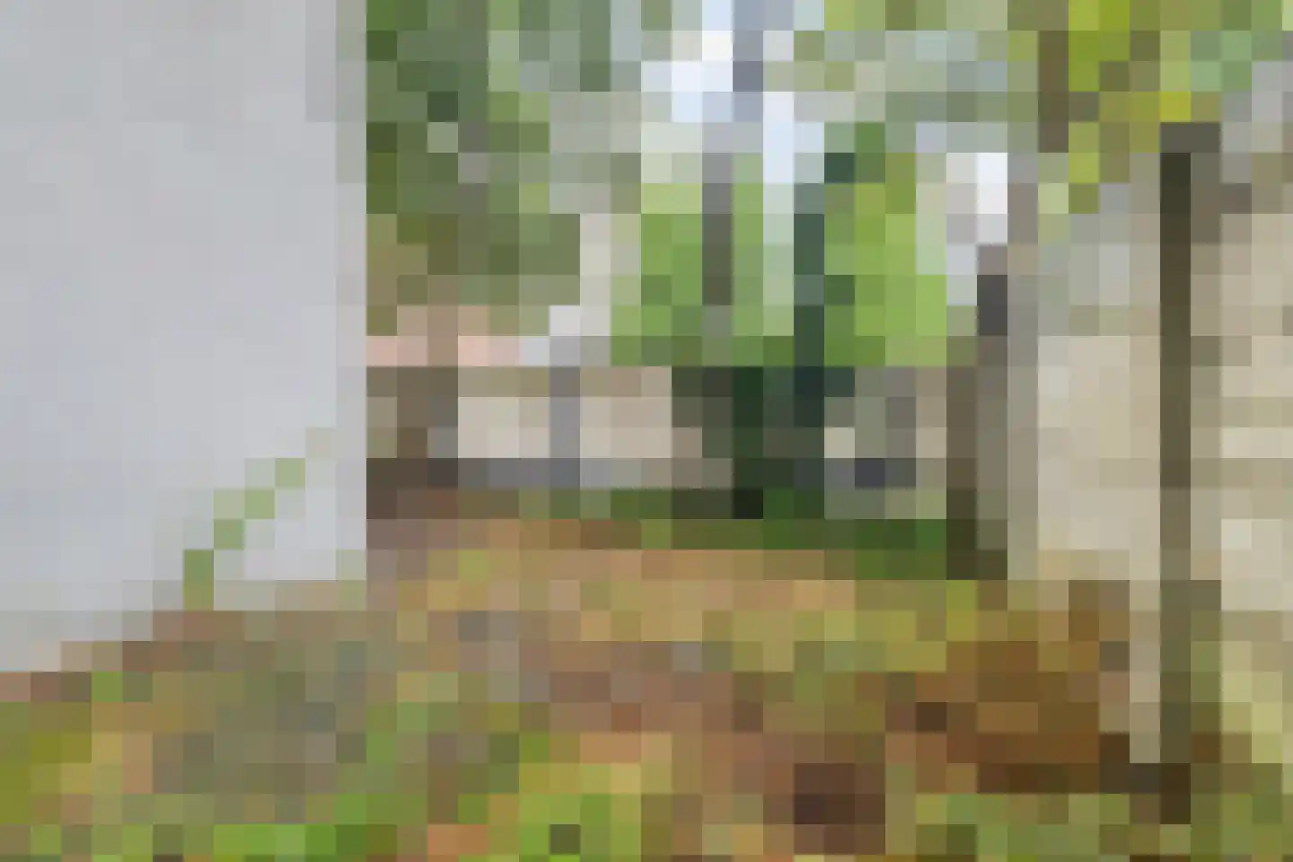Wilhelminasingel 49 Breda thumbnail 47