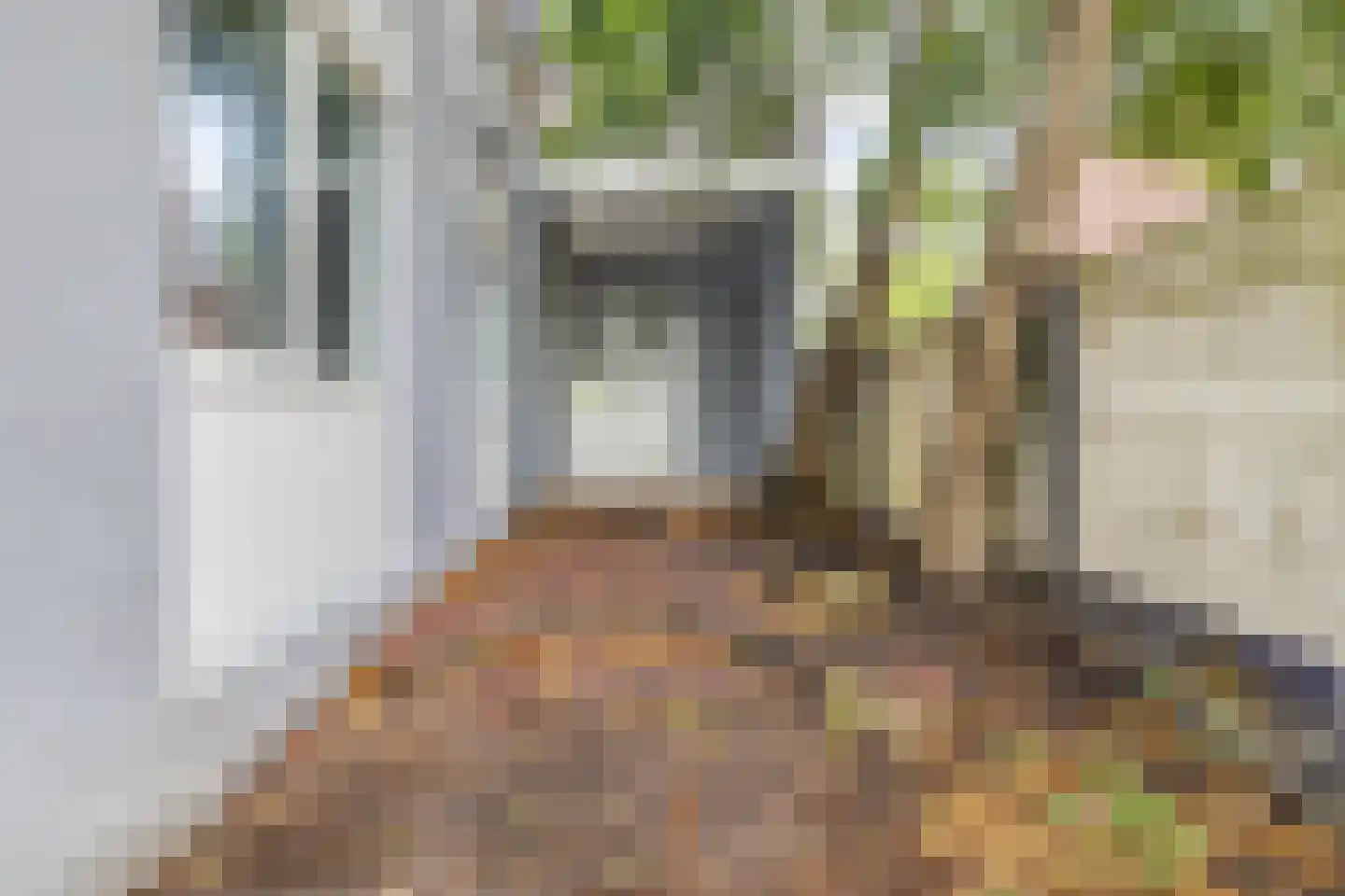 Wilhelminasingel 49 Breda thumbnail 50