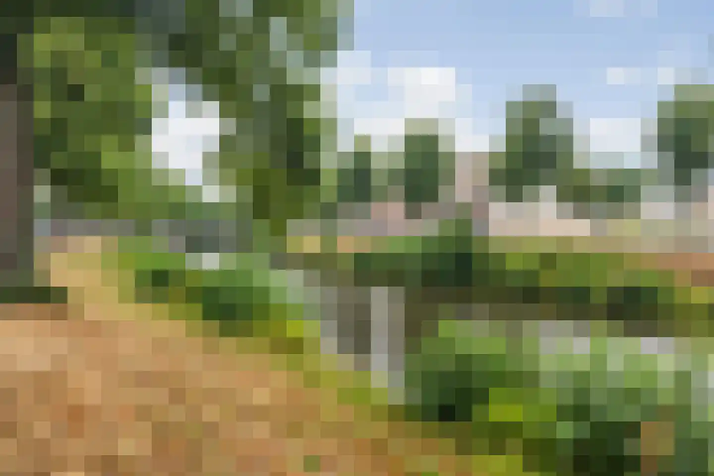 Wilhelminasingel 49 Breda thumbnail 54