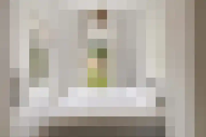Wilhelminasingel 51 Breda thumbnail 28