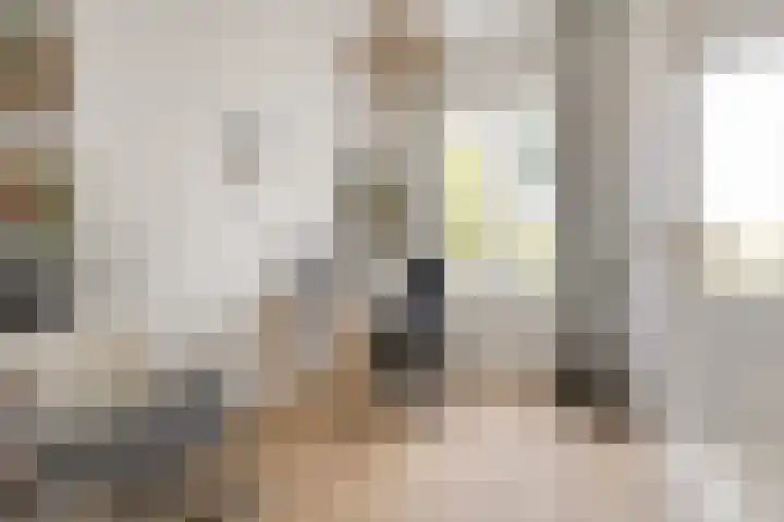 Wilhelminasingel 51 Breda thumbnail 31