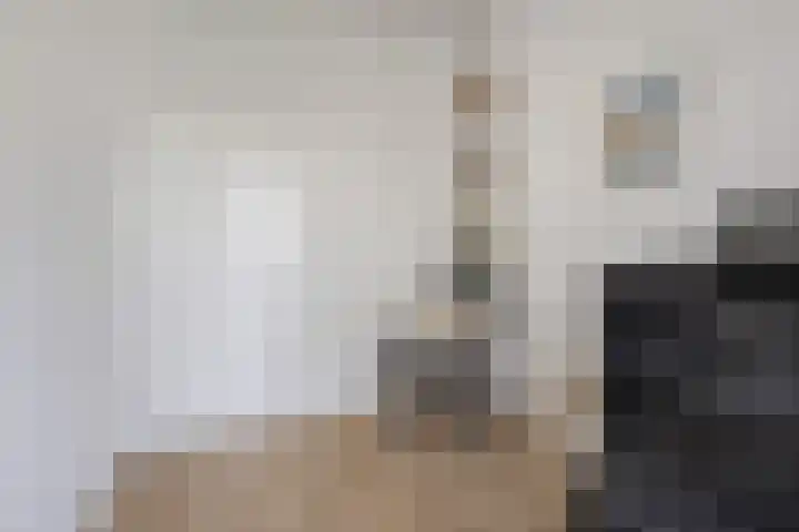 Wilhelminasingel 51 Breda thumbnail 32