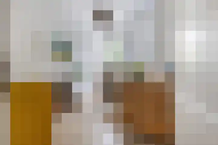 Wilhelminasingel 51 Breda thumbnail 33