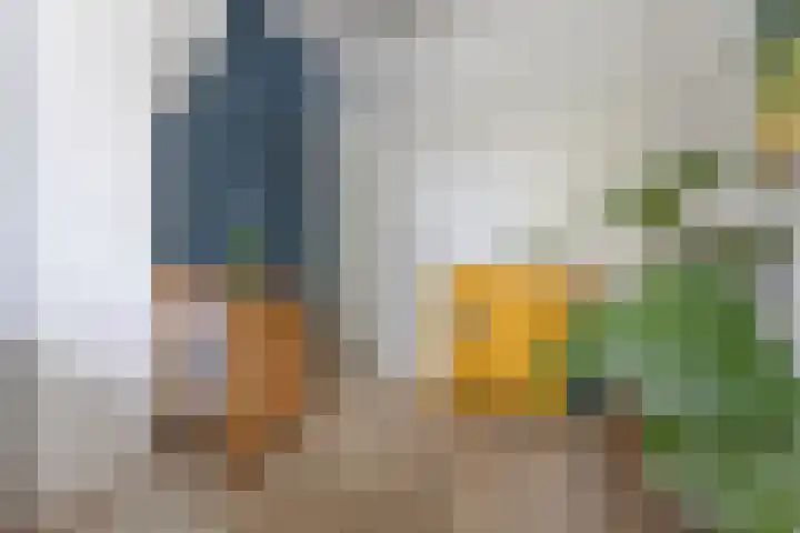 Wilhelminasingel 51 Breda thumbnail 34