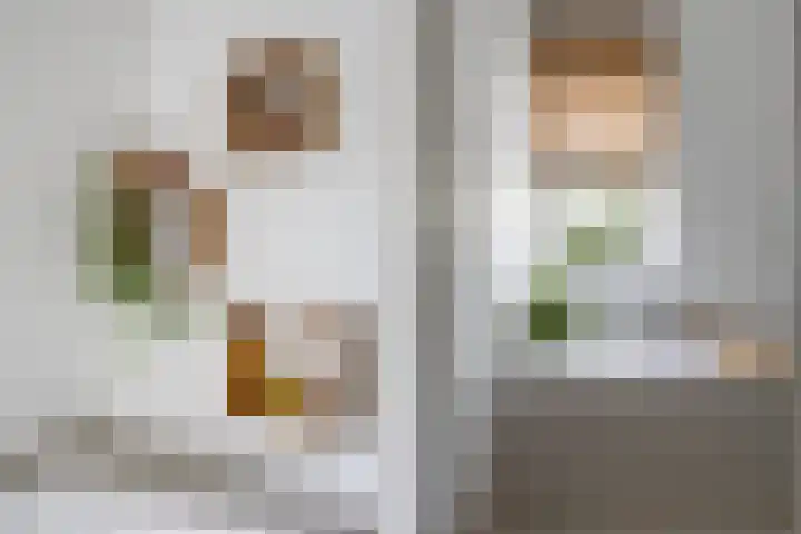 Wilhelminasingel 51 Breda thumbnail 39