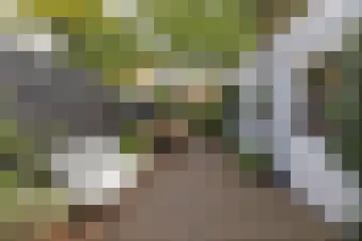 Wilhelminasingel 51 Breda thumbnail 41