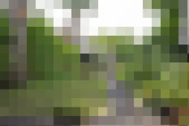 Wilhelminasingel 51 Breda thumbnail 43
