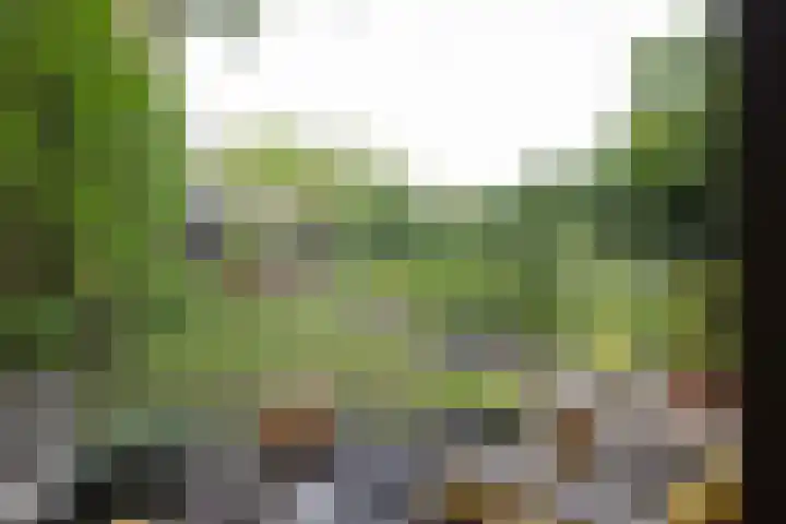 Wilhelminasingel 51 Breda thumbnail 44