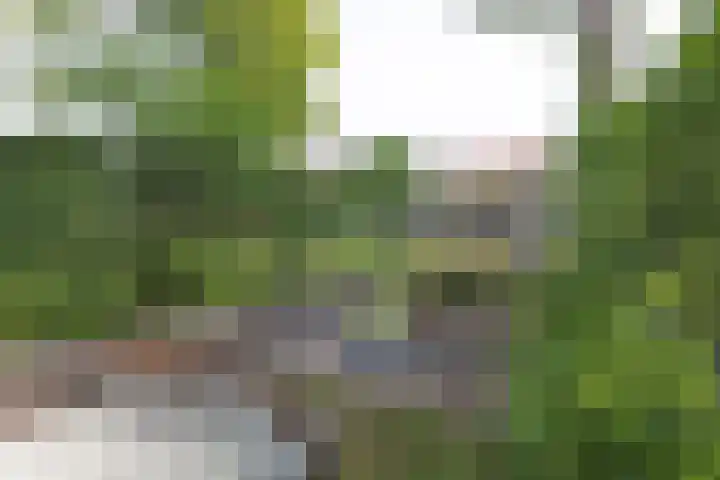Wilhelminasingel 51 Breda thumbnail 45