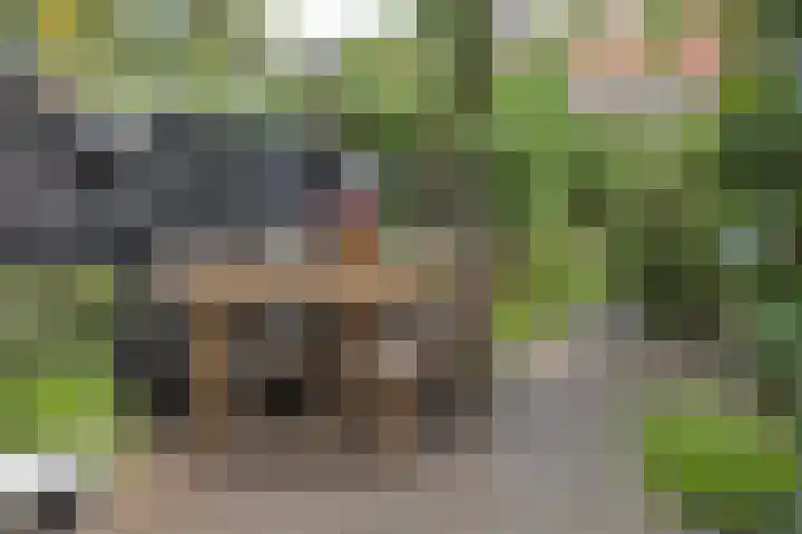 Wilhelminasingel 51 Breda thumbnail 47