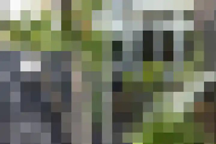 Wilhelminasingel 51 Breda thumbnail 50
