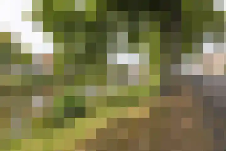 Wilhelminasingel 51 Breda thumbnail 51