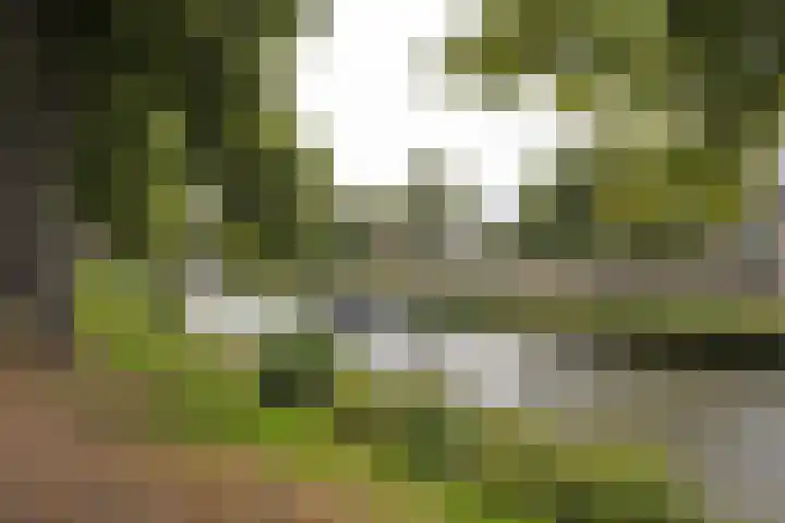 Wilhelminasingel 51 Breda thumbnail 52