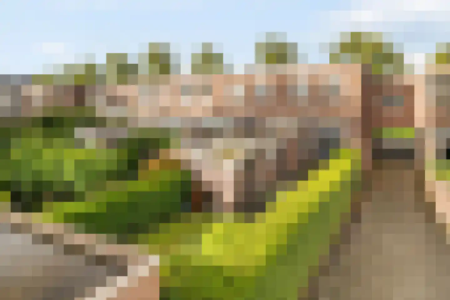 Wilhelminasingel 59 Breda thumbnail 44