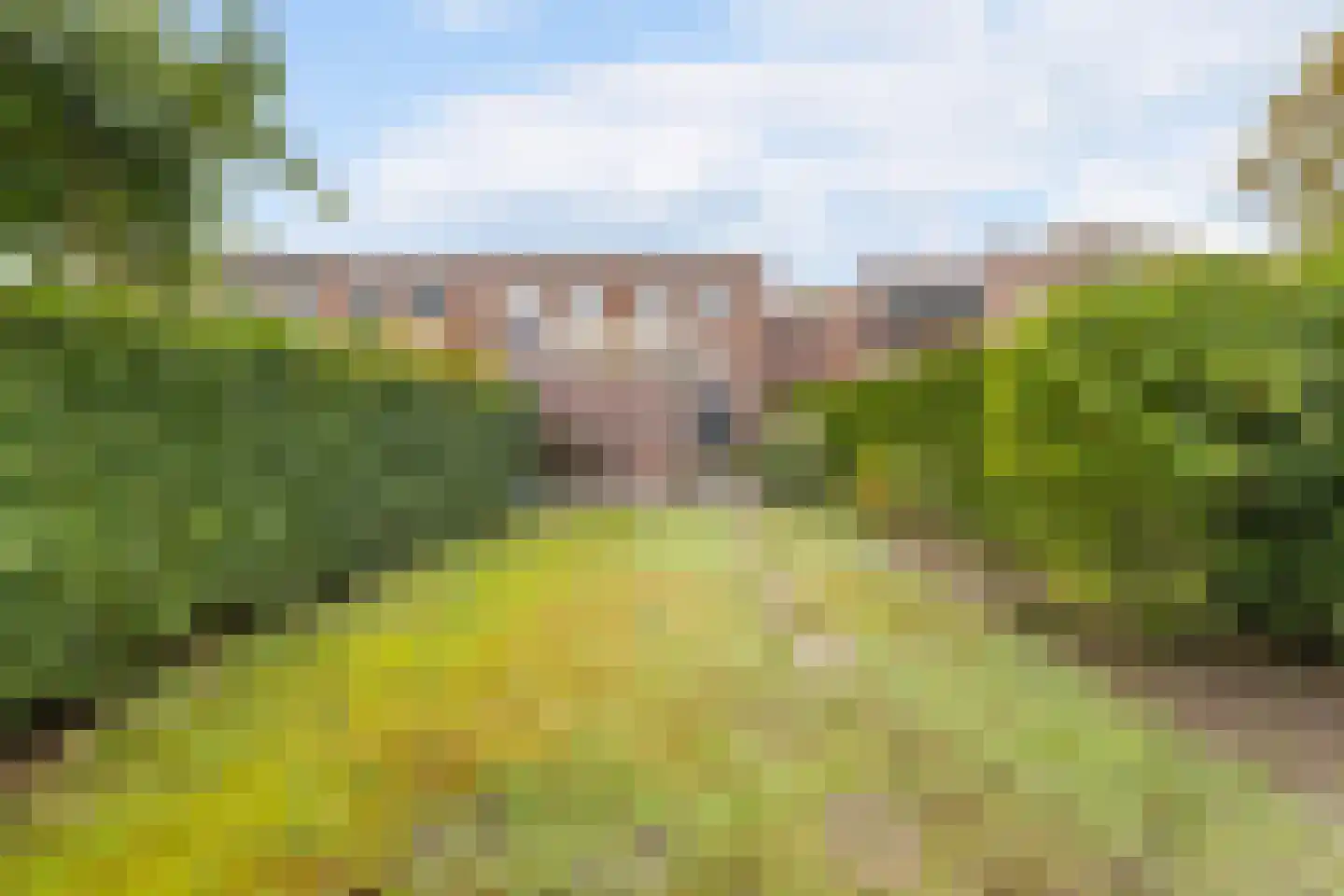 Wilhelminasingel 59 Breda thumbnail 49