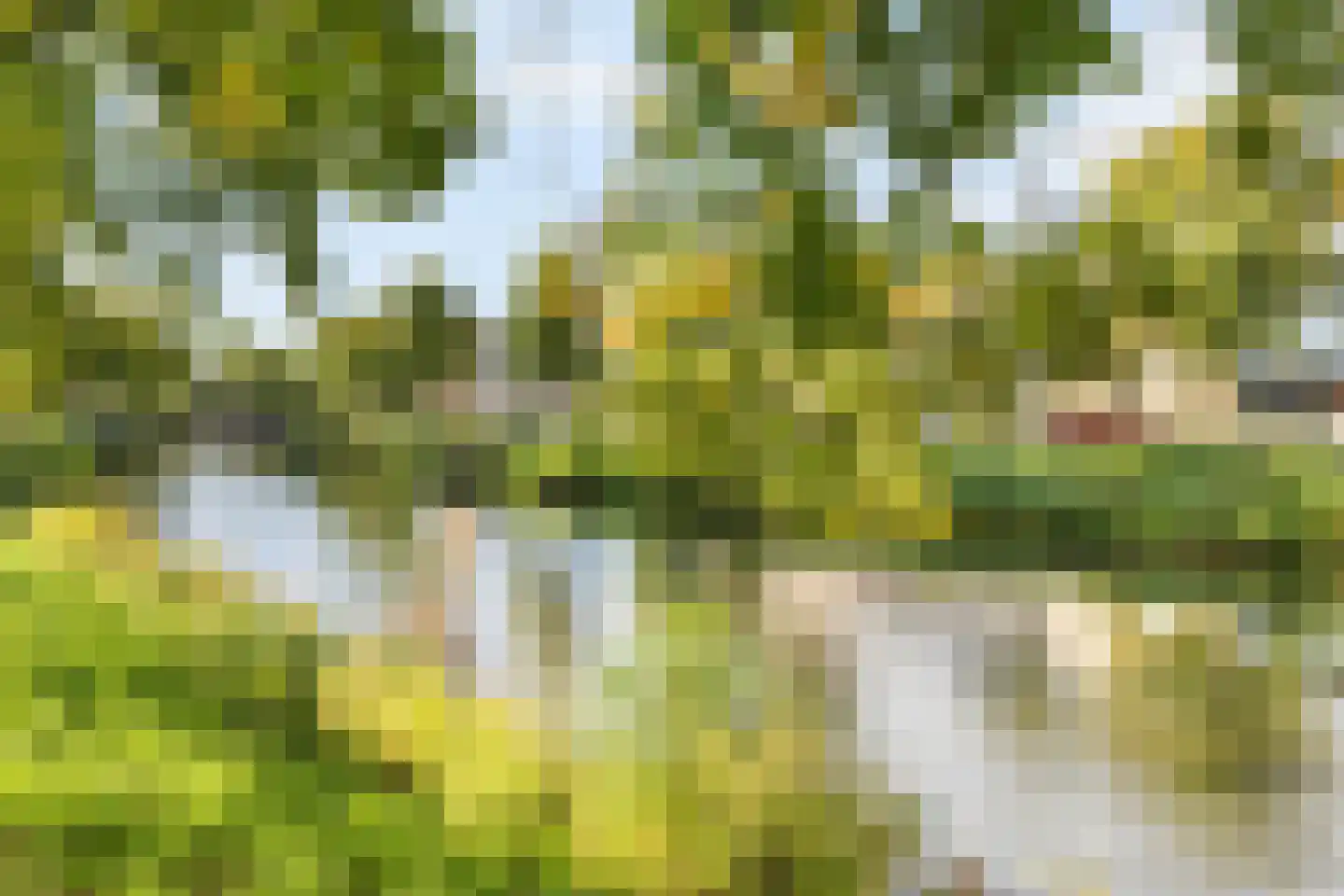 Wilhelminasingel 59 Breda thumbnail 57