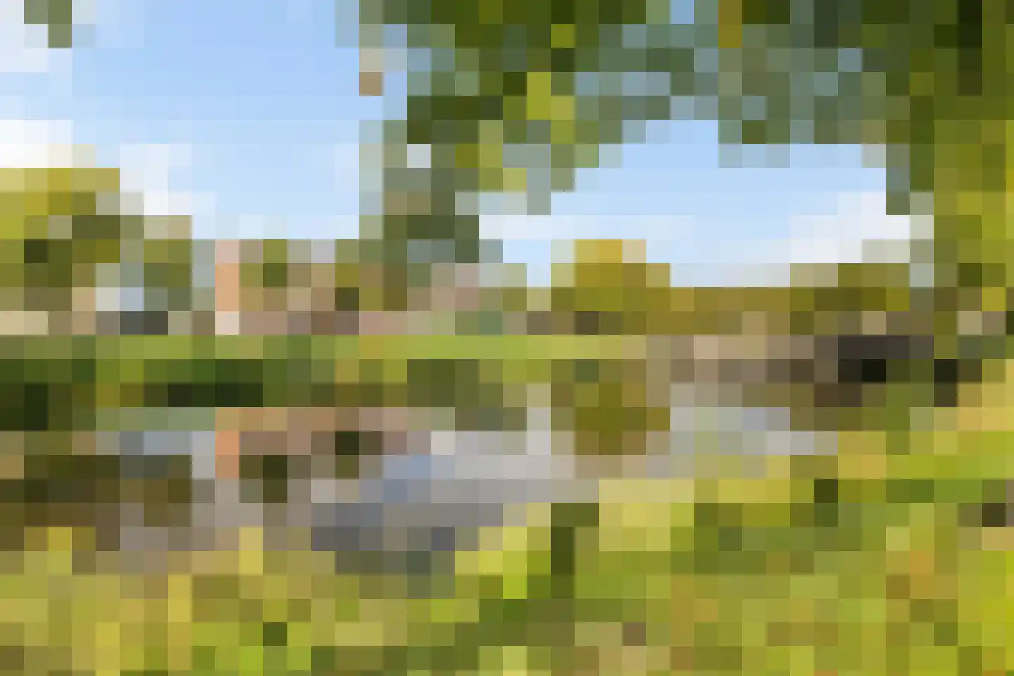 Wilhelminasingel 59 Breda thumbnail 58