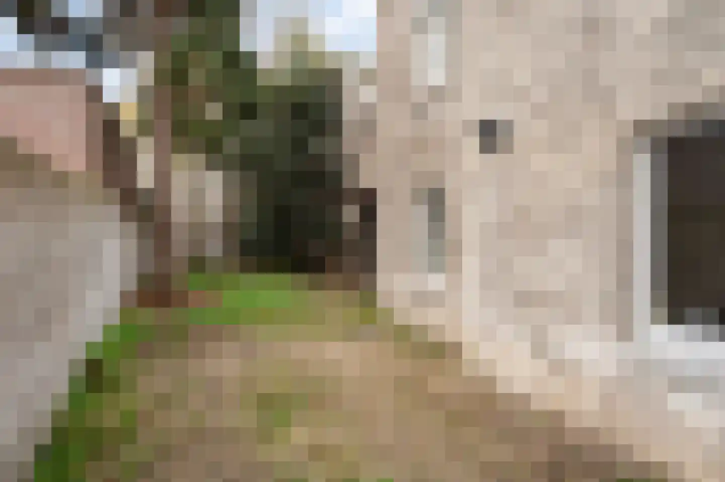 Wilhelminasingel 64 Maastricht thumbnail 31