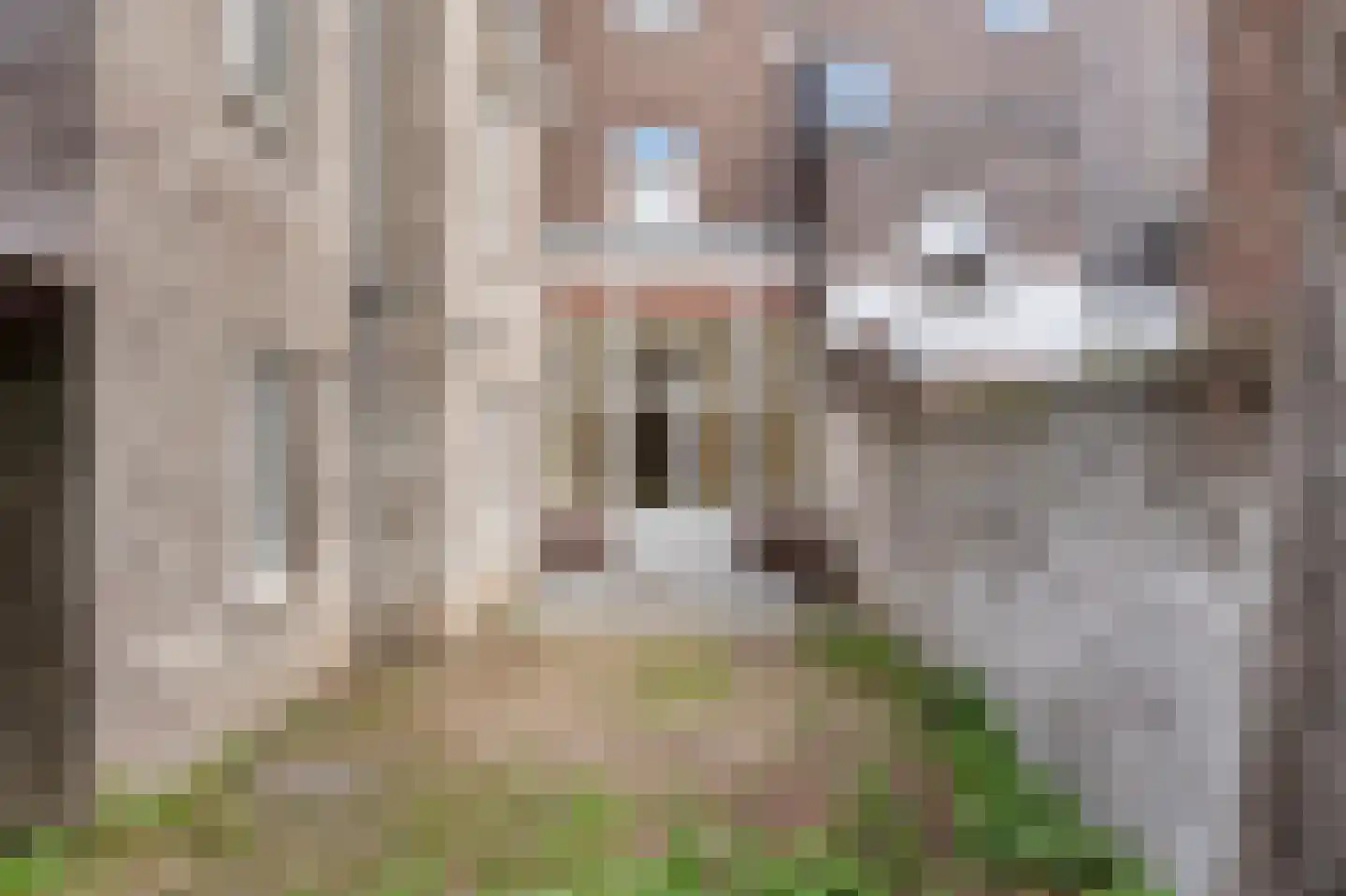 Wilhelminasingel 64 Maastricht thumbnail 33