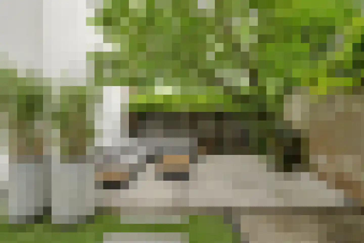 Wilhelminasingel 7 Breda thumbnail 5