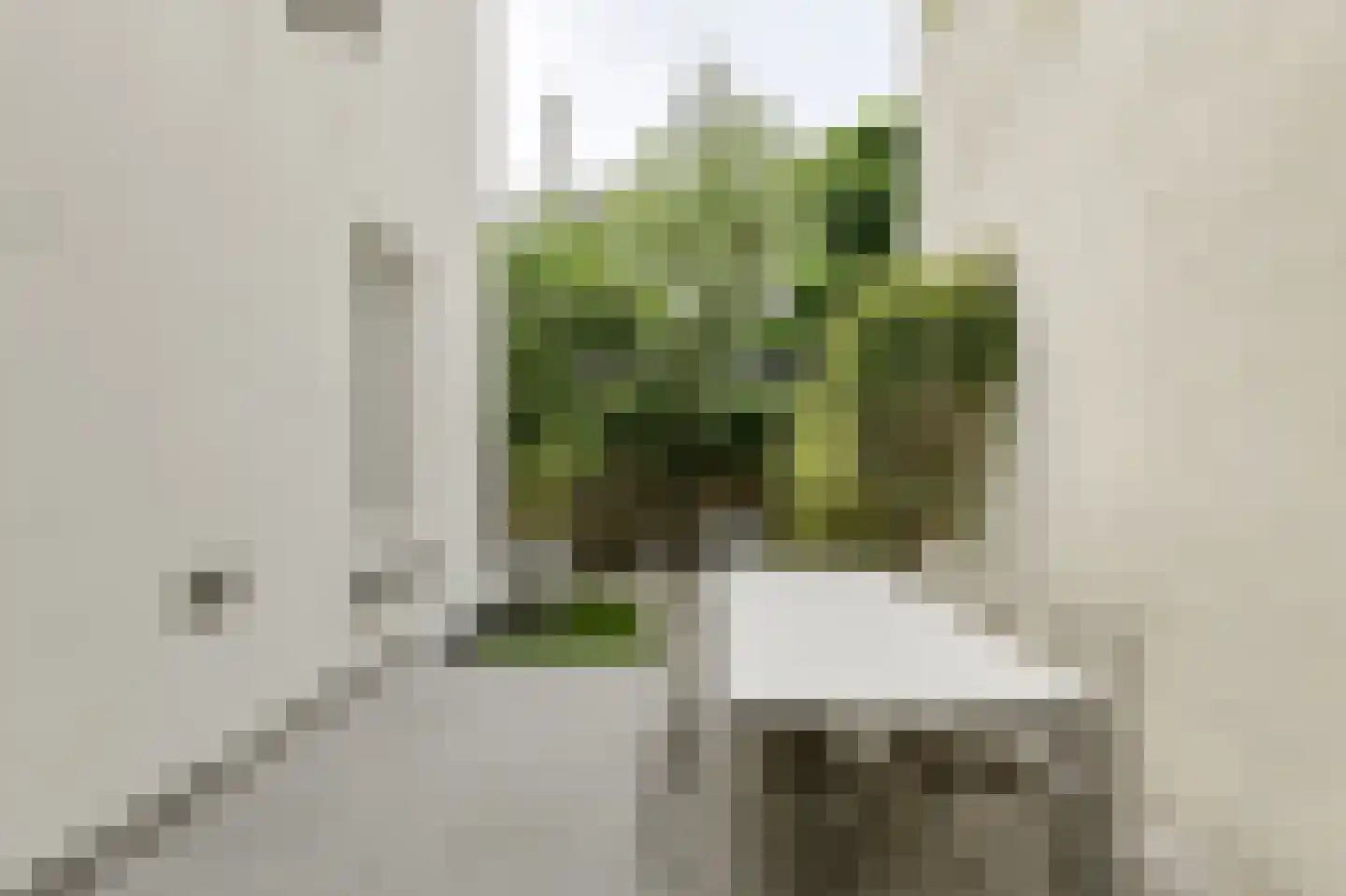 Wilhelminasingel 7 Breda thumbnail 52