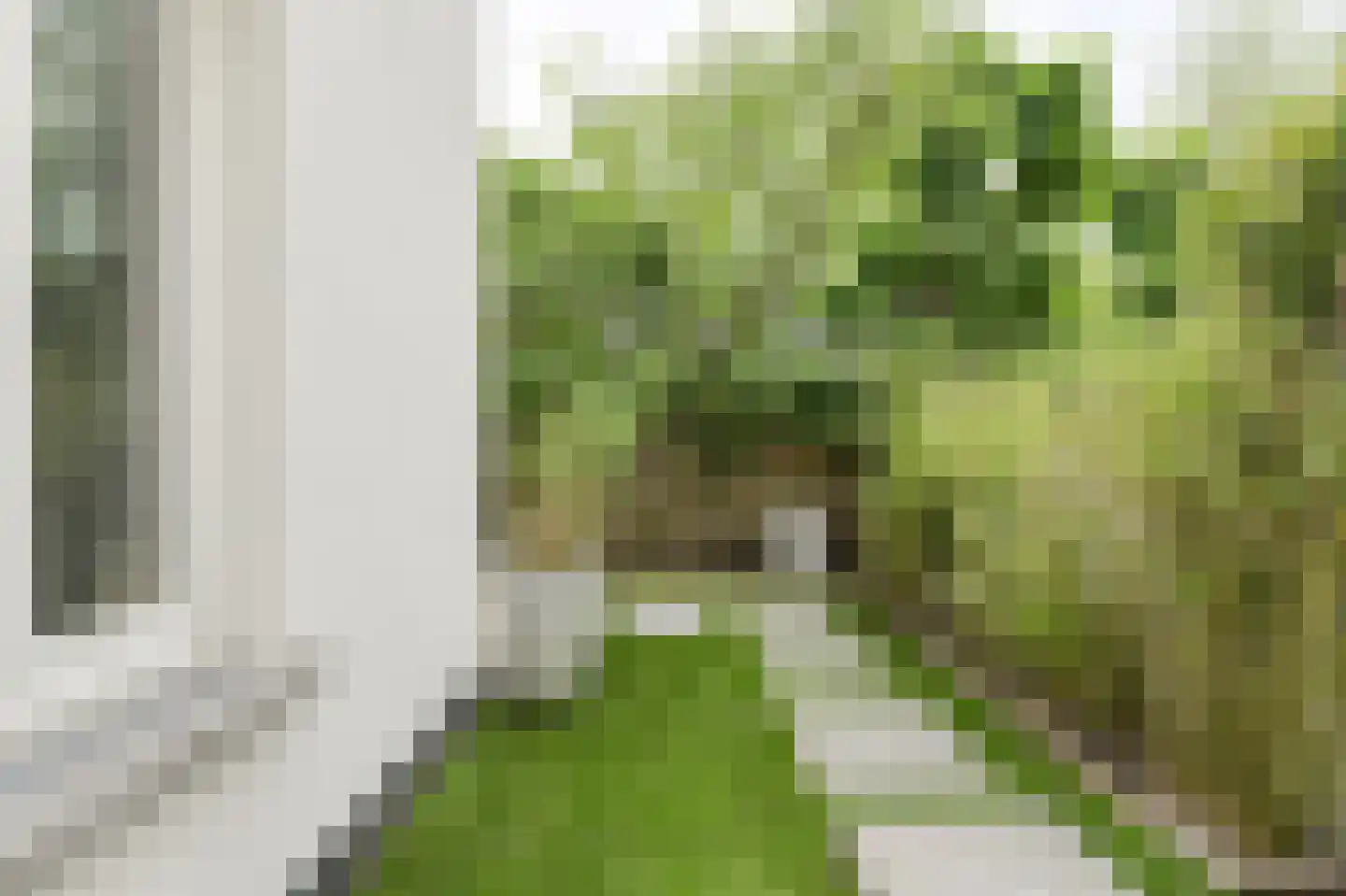 Wilhelminasingel 7 Breda thumbnail 53