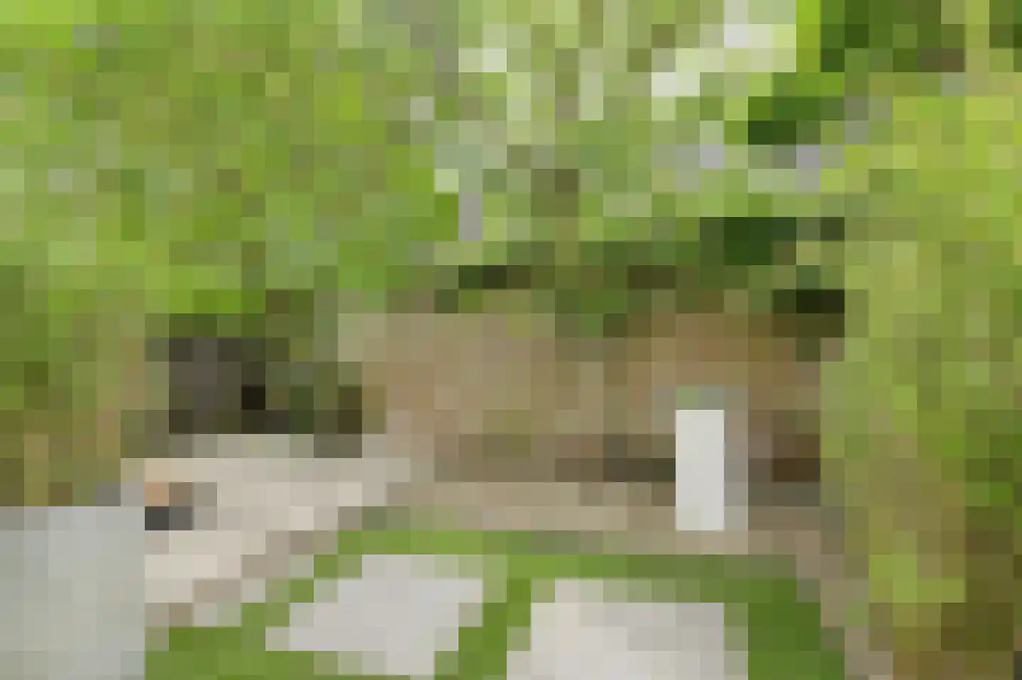 Wilhelminasingel 7 Breda thumbnail 54