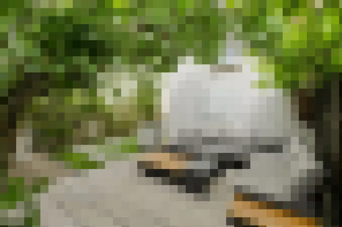 Wilhelminasingel 7 Breda thumbnail 56