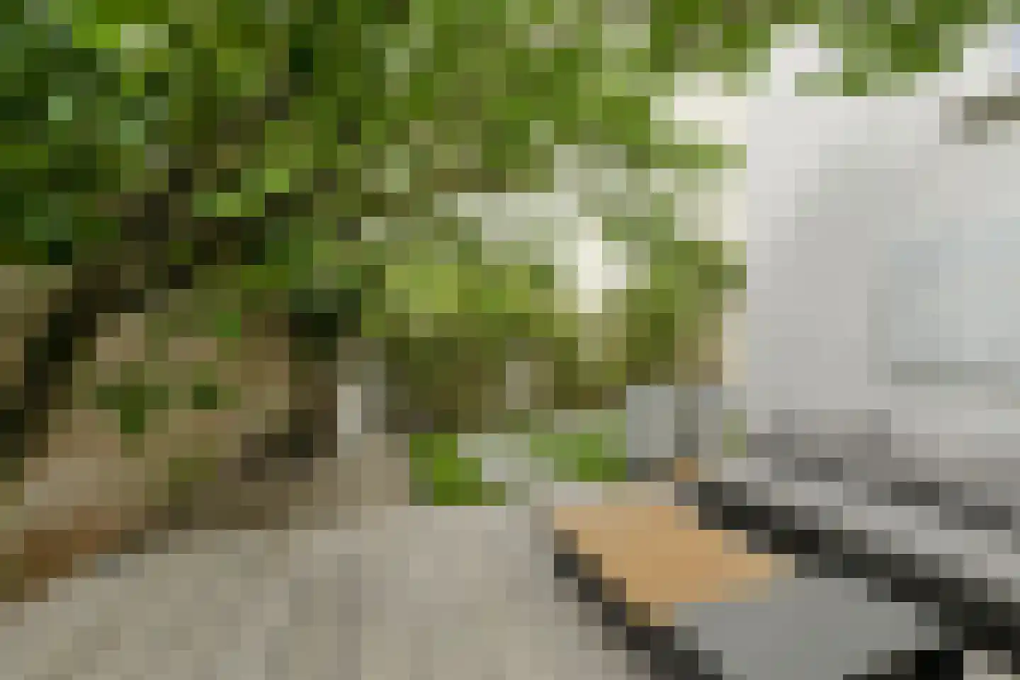 Wilhelminasingel 7 Breda thumbnail 57