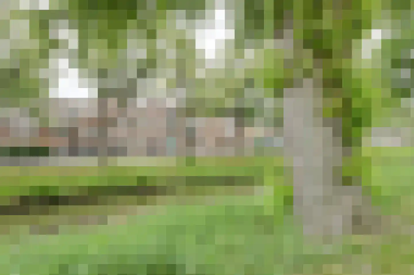 Wilhelminasingel 7 Breda thumbnail 60